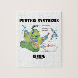 Protein Synthese Inside (mRNA tRNA) Puzzle