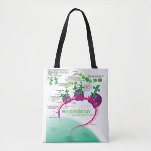 Proteinsynthese-Diagramm der RNA-Übersetzung