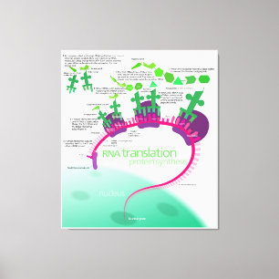 Proteinsynthese-Diagramm der RNA-Übersetzung Leinwanddruck