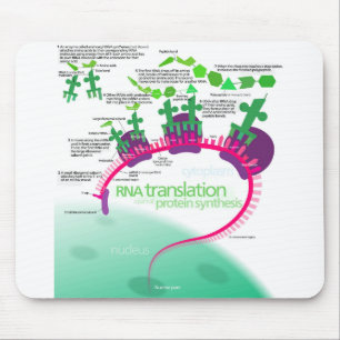 Proteinsynthese-Diagramm der RNA-Übersetzung Mousepad