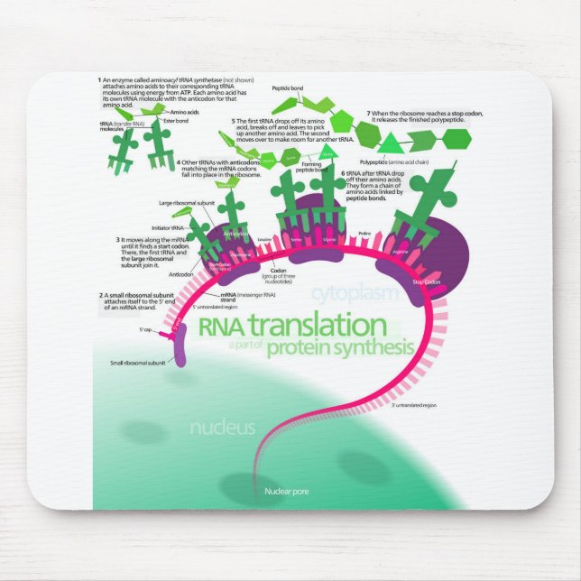 Proteinsynthese-Diagramm der RNA-Übersetzung Mousepad (Vorne)