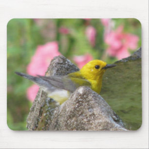 Prothonotary-Bad Mousepad