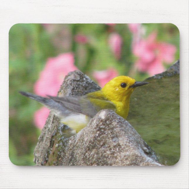 Prothonotary-Bad Mousepad (Vorne)