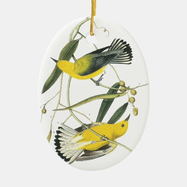 Prothonotary-Trällerer, John Audubon Keramikornament (Vorne)