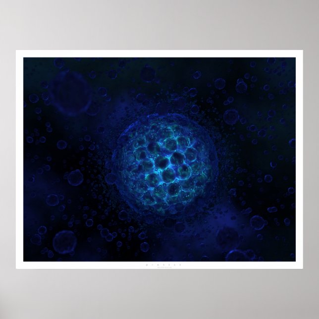 Protist Poster (Vorne)