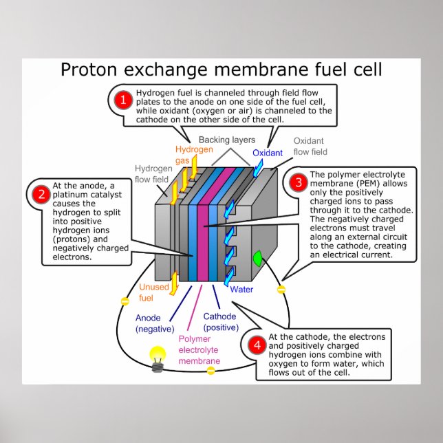 Proton Exchange Membrane Brennstoffzelle Diagramm Poster (Vorne)