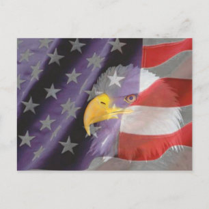 Proud and Patriotic USA Bald Eagle Postcard Postkarte