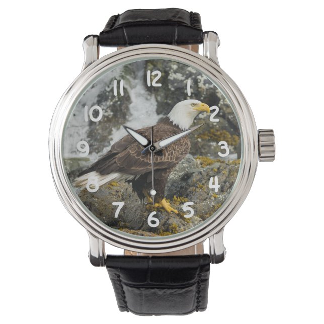 Proud Bald Eagle Armbanduhr (Vorderseite)