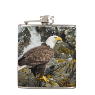 Proud Bald Eagle Flachmann