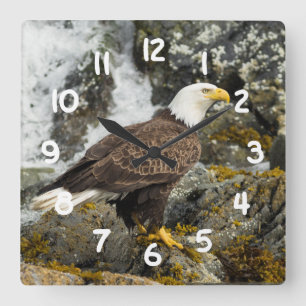 Proud Bald Eagle Quadratische Wanduhr