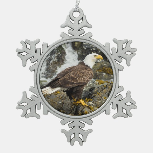 Proud Bald Eagle Schneeflocken Zinn-Ornament (Vorderseite)