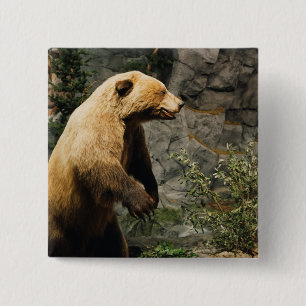 Proud Bear Button