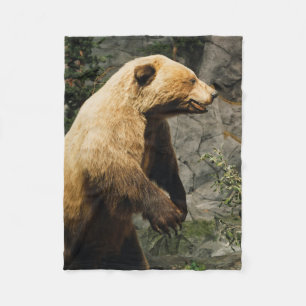 Proud Bear Fleecedecke