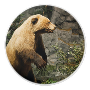 Proud Bear Keramikknauf