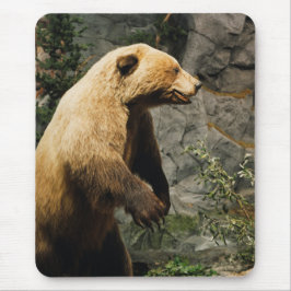 Proud Bear Mousepad