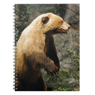 Proud Bear Notizblock