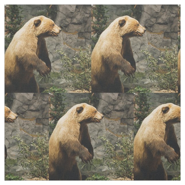 Proud Bear Stoff (Muster)