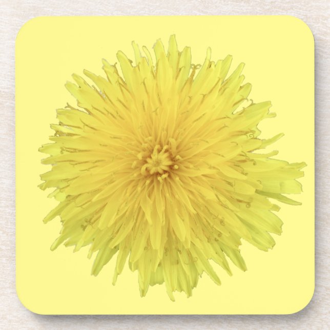 Proud Dandelion Blume - transparent. Getränkeuntersetzer (Vorderseite)