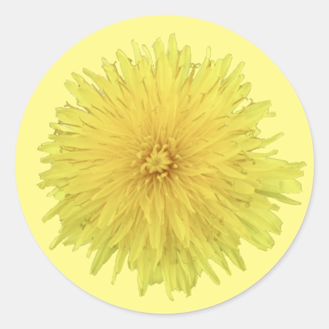 Proud Dandelion Blume - transparent. Runder Aufkleber (Vorderseite)