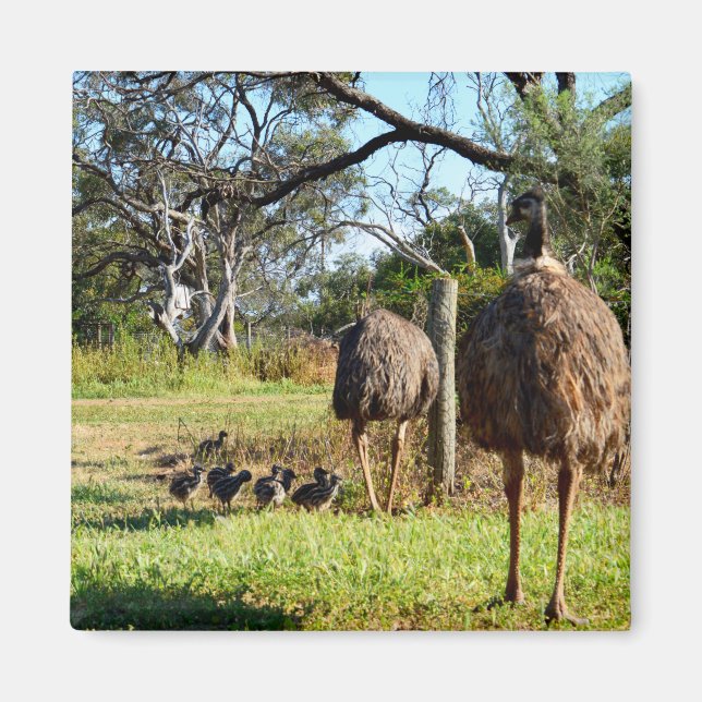 Proud Emu Eltern, Kühlschrankmagnet Magnet (Vorne)