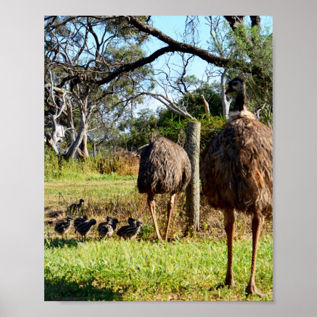 Proud Emu Eltern, Poster (Vorne)