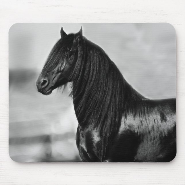 Proud Friesian Black Hengst Mousepad (Vorne)