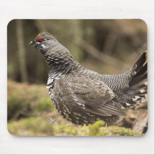 Proud Grouse Mousepad