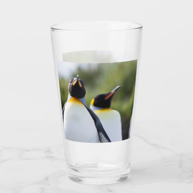 Proud King Pinguins Foto Glas (Vorderseite)