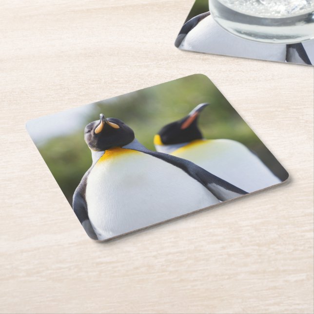 Proud King Pinguins Foto Rechteckiger Pappuntersetzer (angewinkelt)