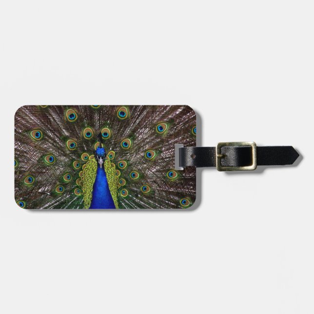 Proud Peacock Gepäckanhänger (Vorderseite horizontal)