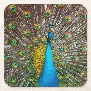 Proud Peacock mit Royal Plumage auf Display Rechteckiger Pappuntersetzer