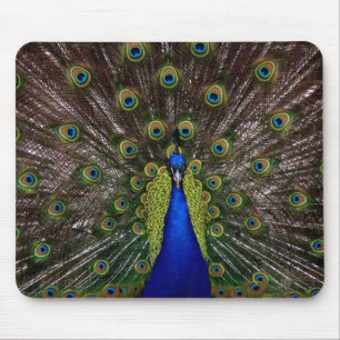 Proud Peacock mousepad