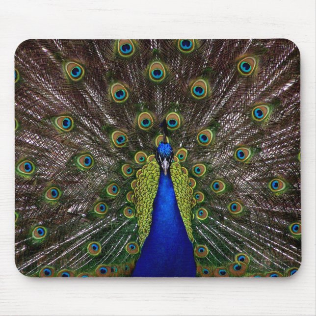 Proud Peacock mousepad (Vorne)