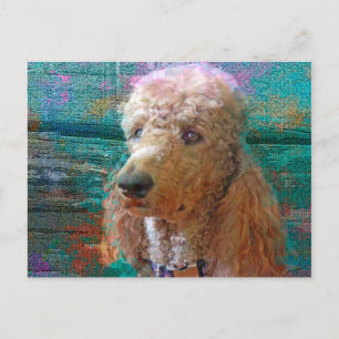 PROUD POODLE POSTKARTE