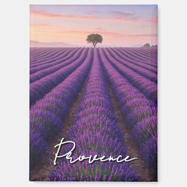 Provence France Lavender Fields Magnet (Vorderseite)