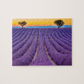 Provence, Frankreich Plateau von Valensole. Puzzle