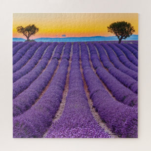 Provence, Frankreich.Plateau von Valensole. Puzzle