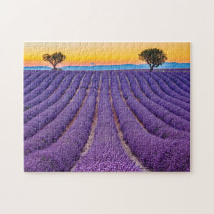 Provence, Frankreich Plateau von Valensole. Puzzle
