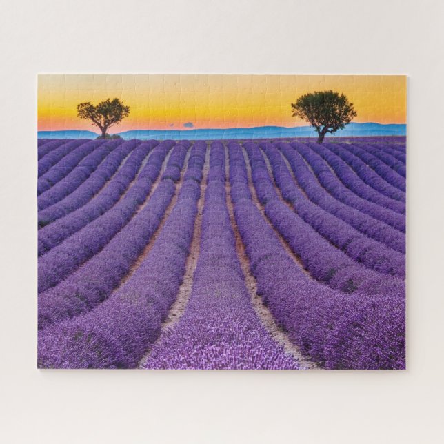 Provence, Frankreich Plateau von Valensole. Puzzle (Horizontal)