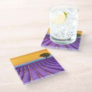 Provence Glasuntersetzer