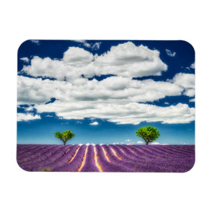 Provence Magnet