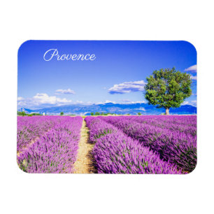 Provence Magnet