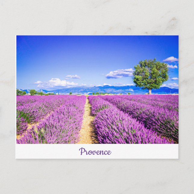 Provence Postkarte (Vorderseite)