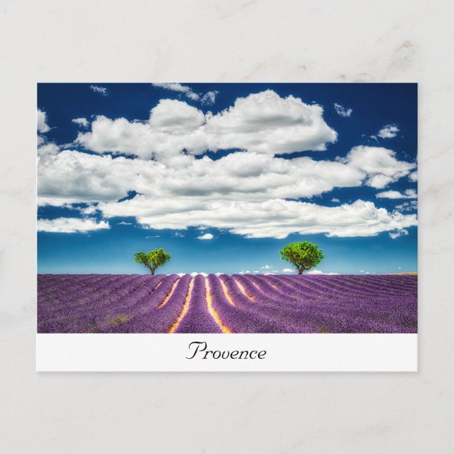 Provence Postkarte (Vorderseite)