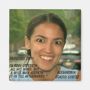 PROVERBEN 29:11 MAGNET