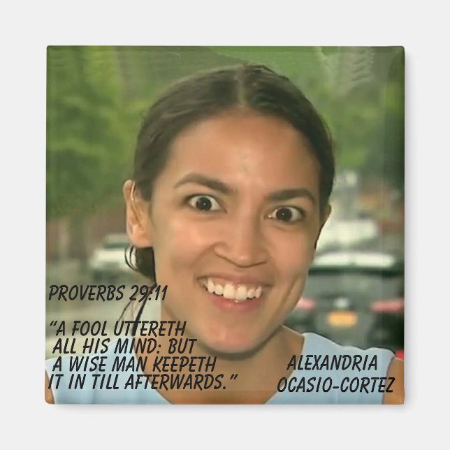 PROVERBEN 29:11 MAGNET (Vorne)