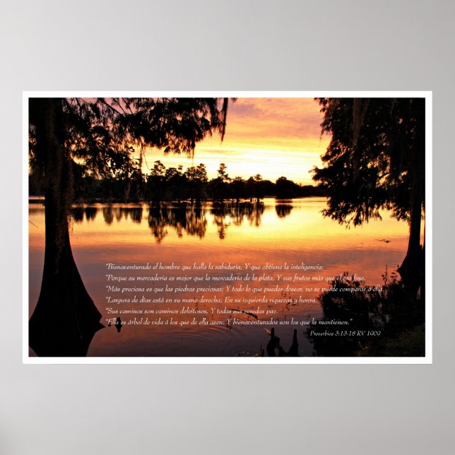 Proverbios 3: 13-18 con Arboles Poster (Vorne)