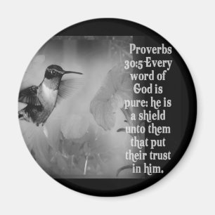 Proverbs 30:5 BIBLE SCRIPTURE mit Hummingbird Magnet