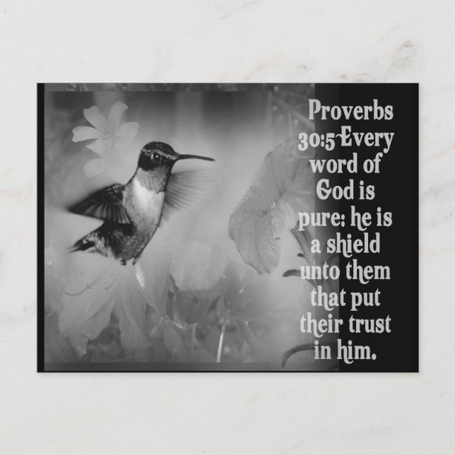 Proverbs 30:5 BIBLE SCRIPTURE mit Hummingbird Postkarte (Vorderseite)