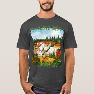 Providence Canyon Staat Park Georgia T-Shirt